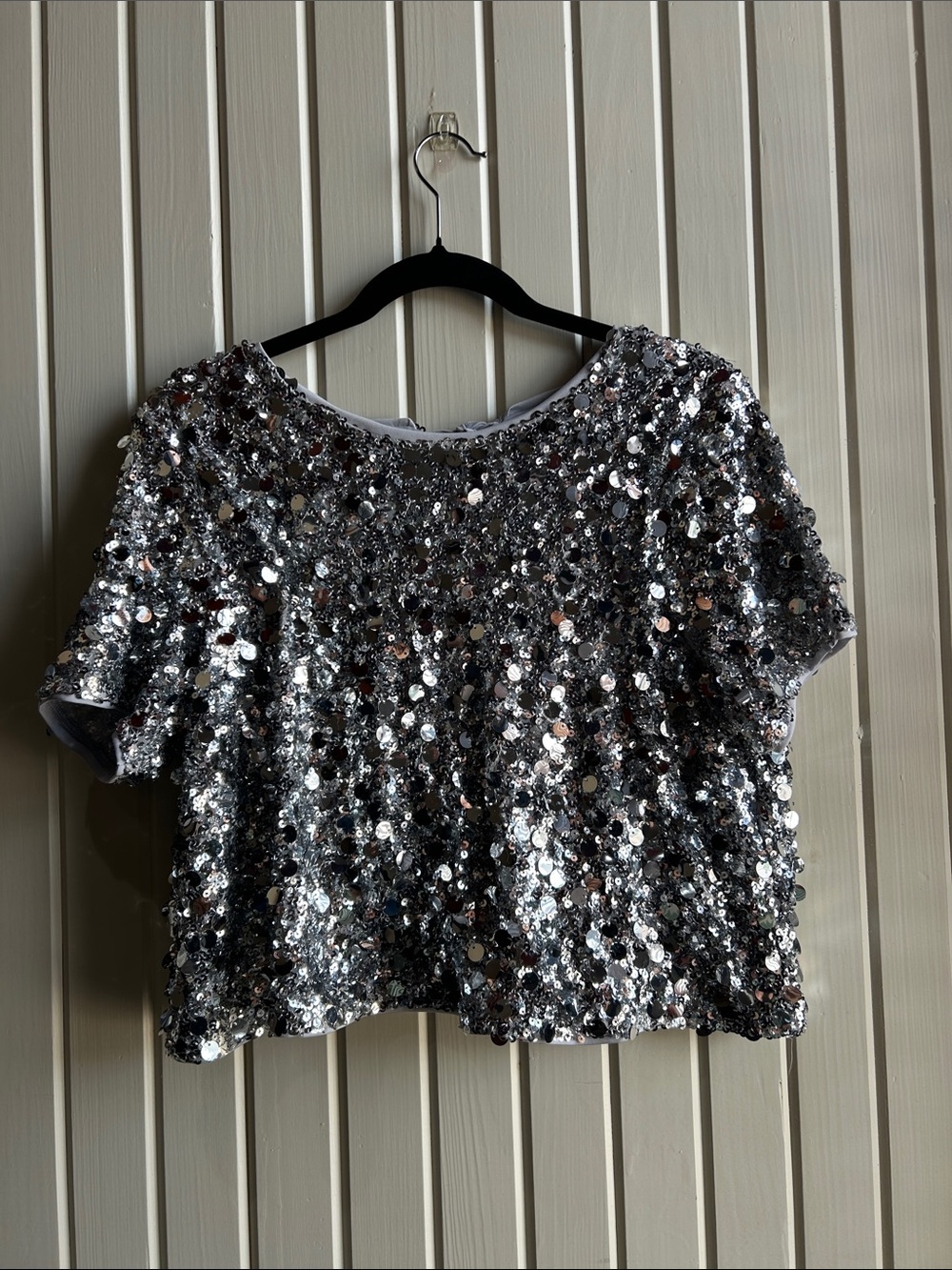 NWT Blu Pepper Silver Sequin Short Sleeve Crop Top size lg